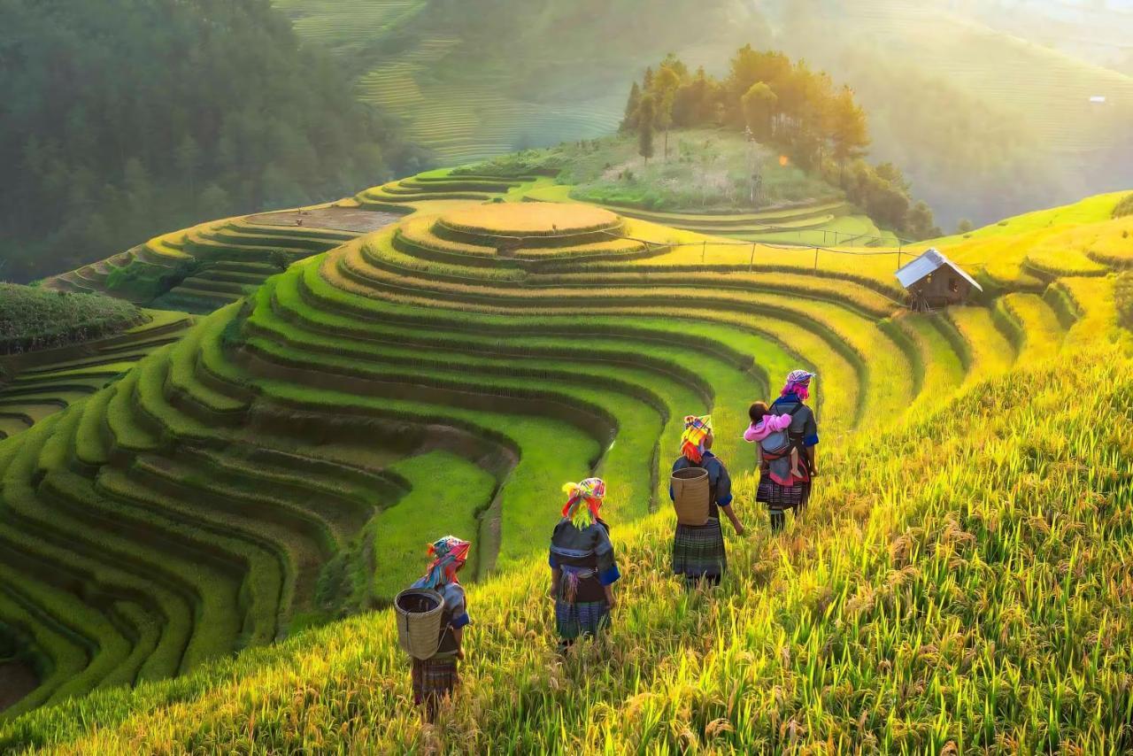 Central Sapa Charm Hotel سابا المظهر الخارجي الصورة