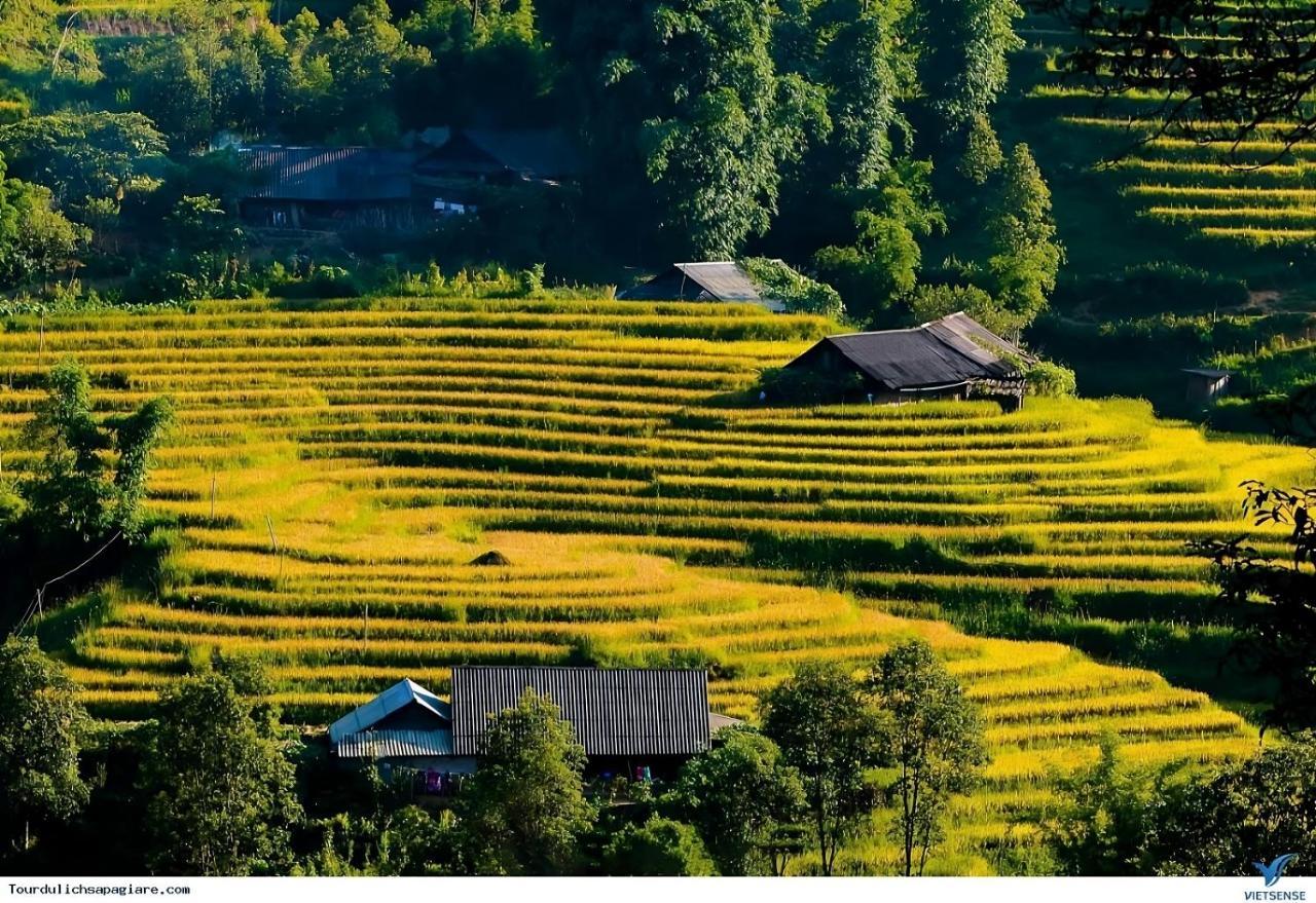 Central Sapa Charm Hotel سابا المظهر الخارجي الصورة
